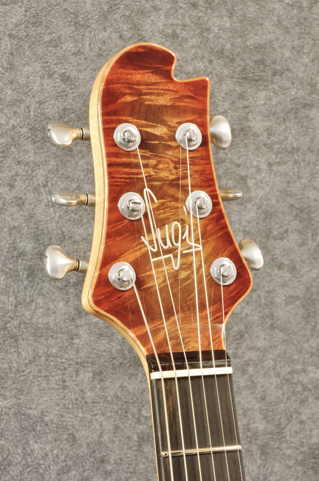 DS496 / Guitars : Sugi Japan - Sugi Guitars / スギギター