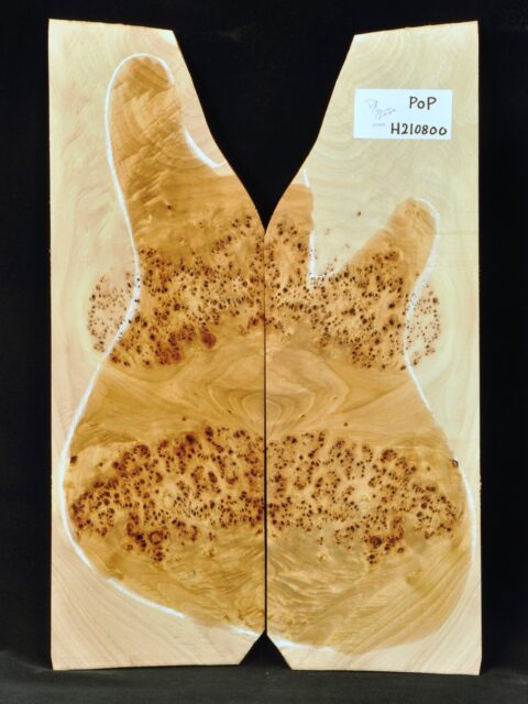 BURL POPLAR