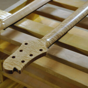 curly maple neck !